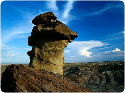 ������ʴ��Ģ��ʯ��