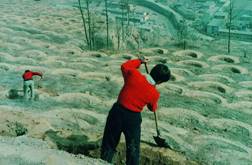 �������ۿ�