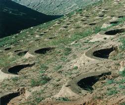 ���ۿӲ���