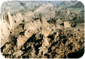 ������ʴ��������