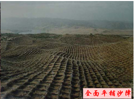 ȫ��ƽ��ɳ��