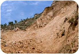 ������ʴ��к�