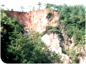 ������ʴ�����ڣ�