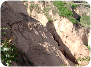 ������ʴ��������