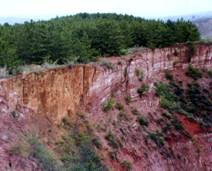 ������ʴ