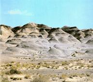 ������ʴ