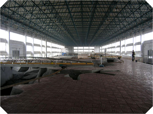 ģ�ͻƺӴ���