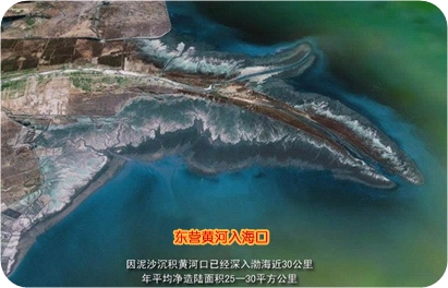 �ƺ�����ڣ����Ǿ�ͷ��