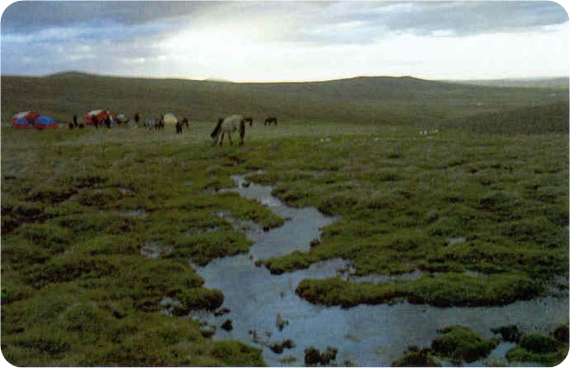 �ƺ�Դͷ����