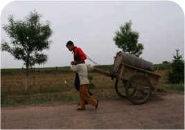 ���Ӹ���ƽ��������ũ����ˮ