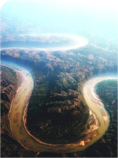 �����ƺ�