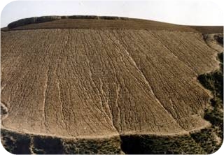 �µؼӾ�ˮ����ʧ