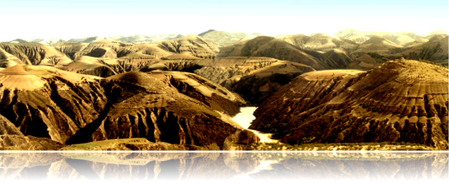 ������ʴ