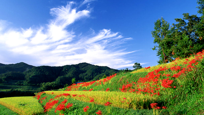 ���ϵ�Ը������ɽ������ˮ���� 