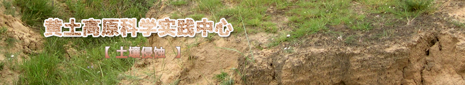 ������ʴ