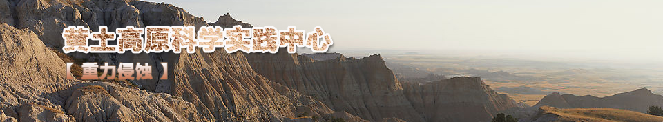 ������ʴ