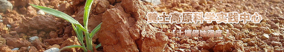 ������ʴǿ��