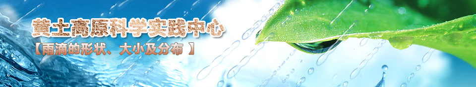 ��ε���״����С���ֲ�