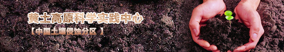 �й�������ʴ����