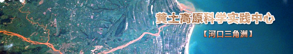 �ӿ�������