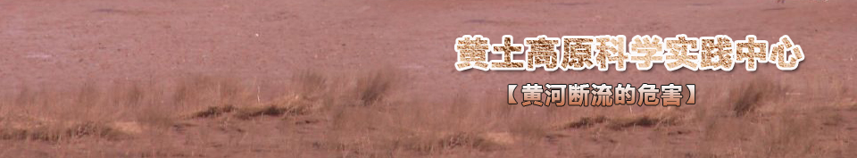 �ƺӶ�����Σ��