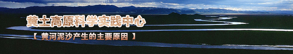 �ƺ���ɳ��������Ҫԭ��