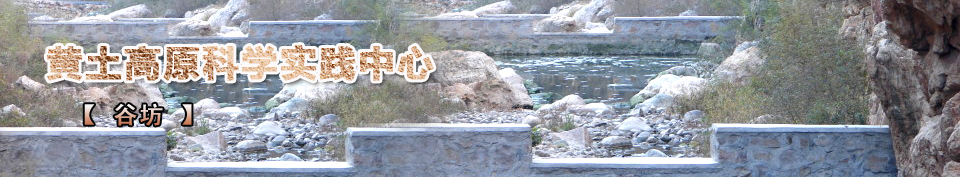 ���µ�·��ʴ����