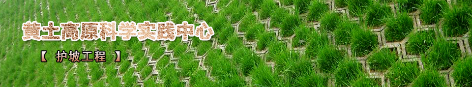 ���¹���