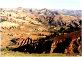 �������������Ӿ�ɺ� 