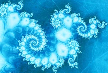 ��ѧ����