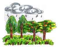 ɸѡ����ֲ������ũ���������