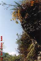 ���������£����»�ͷ��ʢ�������ݳ��㣩