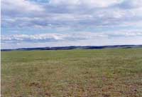 ���������ɹŲ�ԭ