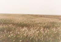 ����«έ����ݵ�