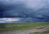 �����ݵ�