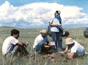 �۲���������