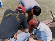 ²É¼¯Î¢ÉúÎïÑùÆ·