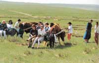 �������ճ�