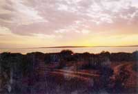 �ƺ������޳�ϼ