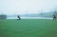 �߶����򳡲�ƺ