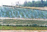 草坪建植有技术