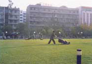 湖北宜昌夷陵广场在修建