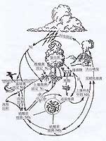 Éú̬ϵͳµªÑ»·Ê¾Òâͼ