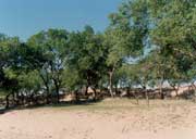 ���ƴ��ɳ�ػ����¶ɳ��