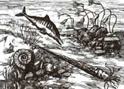 Éú»ú²ª²ªµÄÔʼº£ÑóÉúÎï