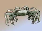 ������ǿз