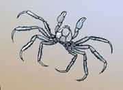 �л��¼��з