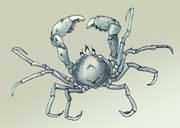 ������з