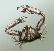 ��������з