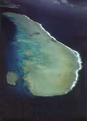 ɺº÷Éú³¤µÄµØ·½--ɺº÷½¸